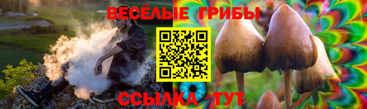 Галлюциногенные грибы MAGIC MUSHROOMS Можга